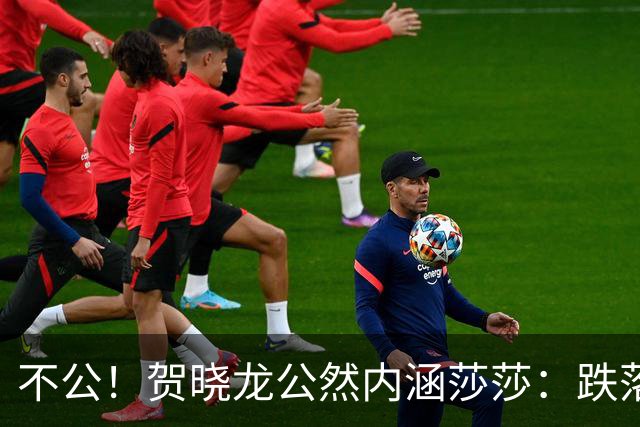 不公！贺晓龙公然内涵莎莎：跌落河北一姐之位，背后竟遭遇网络黑恶势力攻击
